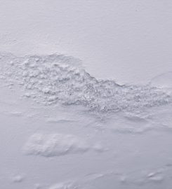 Elia-Antonio TANNOURY